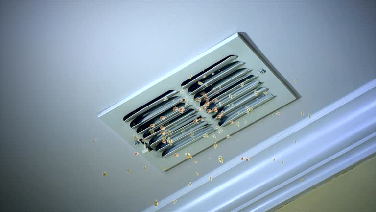 Best Ductwork Cleaning Services  in Miles, TX